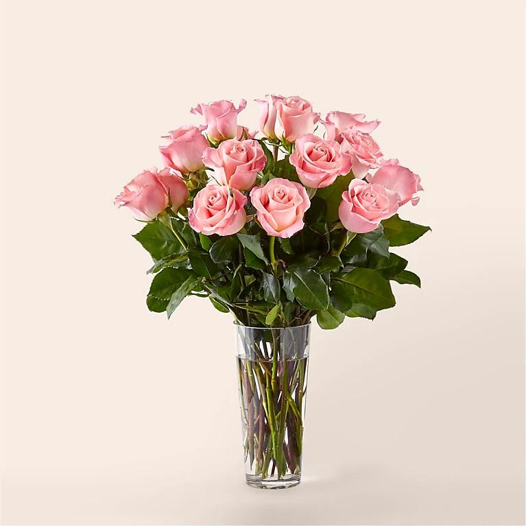 12 Pink Roses Flowers Delivery 4 U Southall Middlesex