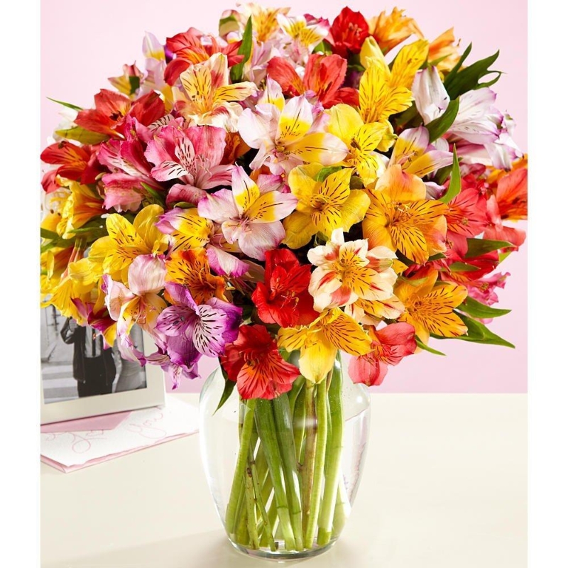 Mixed British Alstroemeria Bouquet | Flowers Delivery 4 U | Southall ...