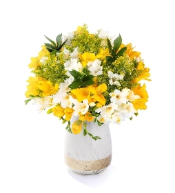 Classic Freesias