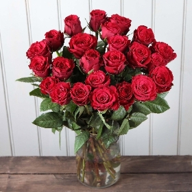 24 Red Roses